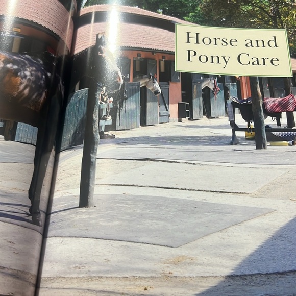 The complete book of horses, hardback (521 pages) - Picture 14 of 15